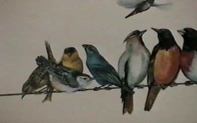 Out and About with Al – DEW part2