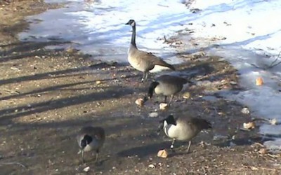 Out and About Show 226 Part 1