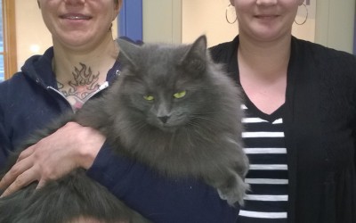 Chris Wolf Show 2015-12-02 PAWS – First a Wolf, then a Dog. And now a Cat. On the Chris Wolf Show. WATCH NOW.