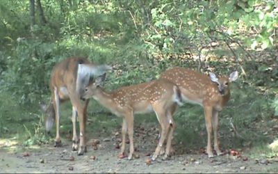 Al Gardner Show 16_16