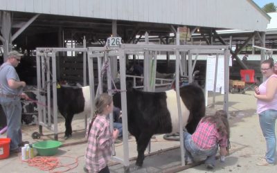 Al Gardner Show 16_23