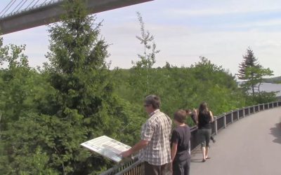 Al Gardner Show 16_28