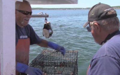 Al Gardner Show 16_29