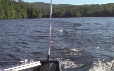 Al Gardner Show 16_55