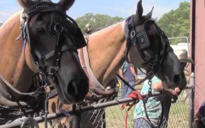 Al Gardner Show 16_59