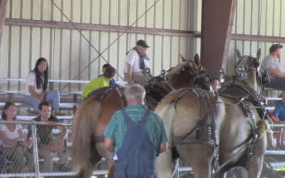 Al Gardner Show 16_60