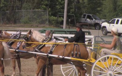 Al Gardner Show 16_64