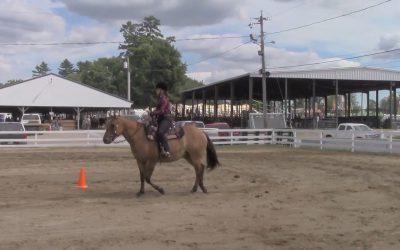 Al Gardner Show 16_66