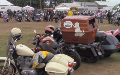 Al Gardner Show 16_70