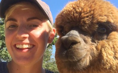 Alpacas come to The Chris Wolf Show. WATCH NOW.