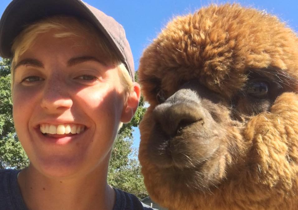 Alpacas come to The Chris Wolf Show. WATCH NOW.