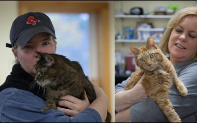 Dogs and Cats and Wolves on The Chris Wolf Show.