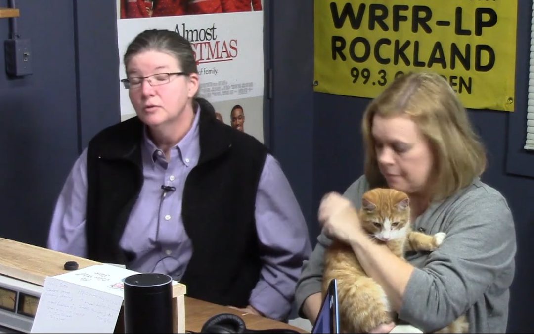 CWS 2016-11-30 PAWS. WATCH NOW.