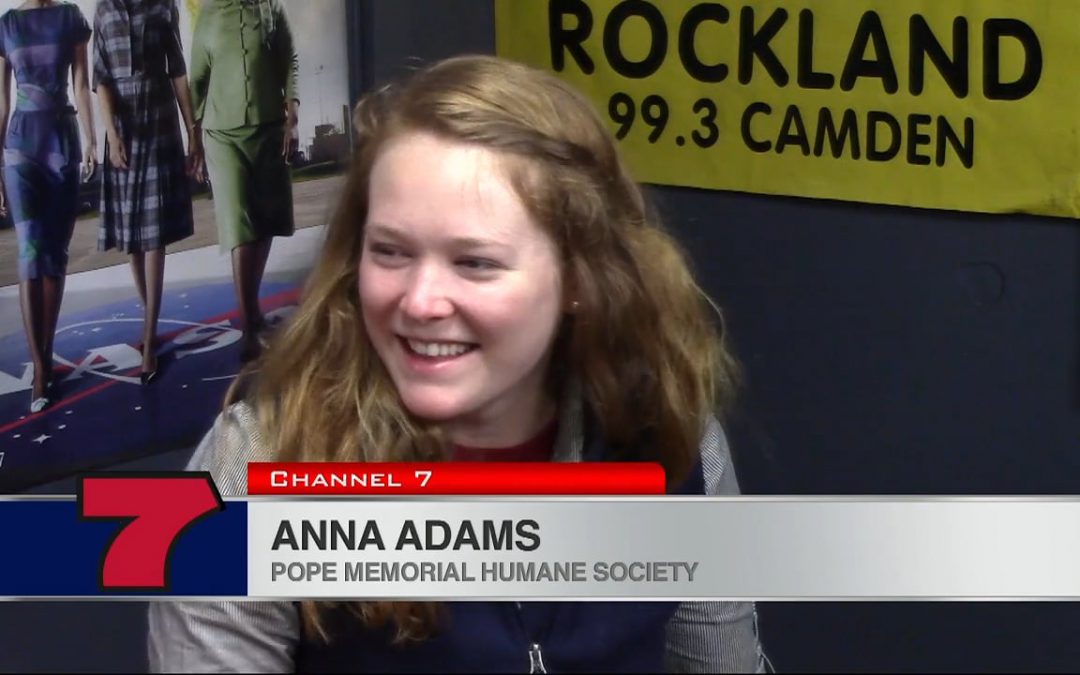CWS 2017-01-11 Anna Adams Pope Animal Shelter. WATCH NOW.