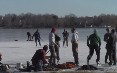 Al Gardner Show 17 11