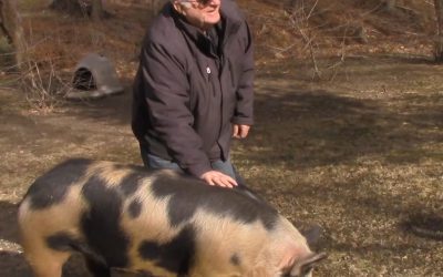 Al Gardner Show 17 12