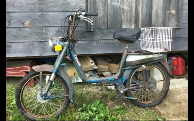 CWS 2017-03-10 Sylvan Eichenlaub. WATCH NOW.