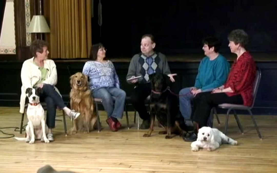MWGT Show 16 Dogs