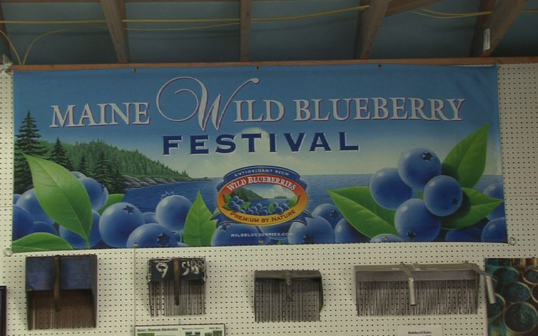 Wild Blueberry Day at the Union Fair – Free pies, Judging Blueberry Desserts & Whoopie Pies, Kids pie eating