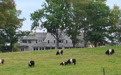 What’s in store for Aldermere Farm and the Oreos? Does the white part in the middle really taste sweeter?