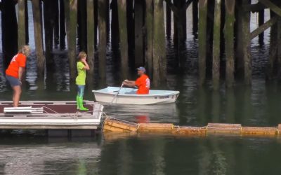 Al Gardner Show 17_77