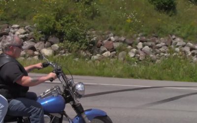 Al Gardner Show 17_81