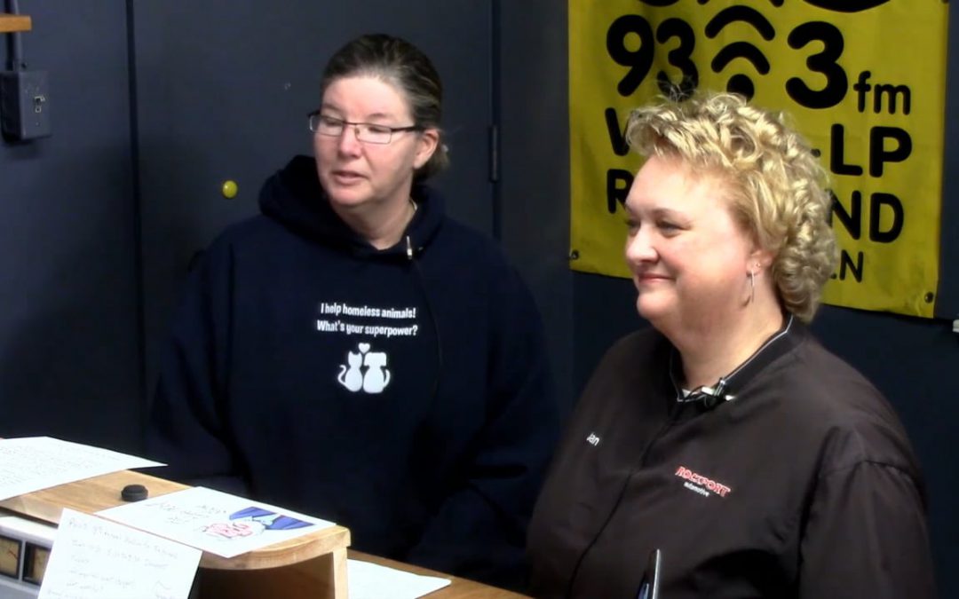 CWS 2017-11-17 PAWS. WATCH NOW