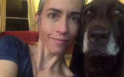 Wednesday’s Chris Wolf Show. Your dogs and cats should be watching.