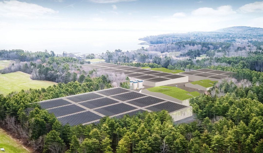 Salmon Farms. Power Lines. Addiction.  Education. Spending. Taxing. What’s Really  Happening in Maine Government? WATCH NOW!