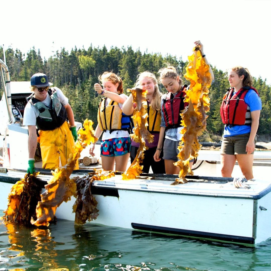 CWS 2019-02-25 Hurricane Island, A Little Bit of KELP from Our Friends. WATCH NOW!
