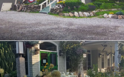 3 Dog Cafe Closing, Sweet Sensations Reopening