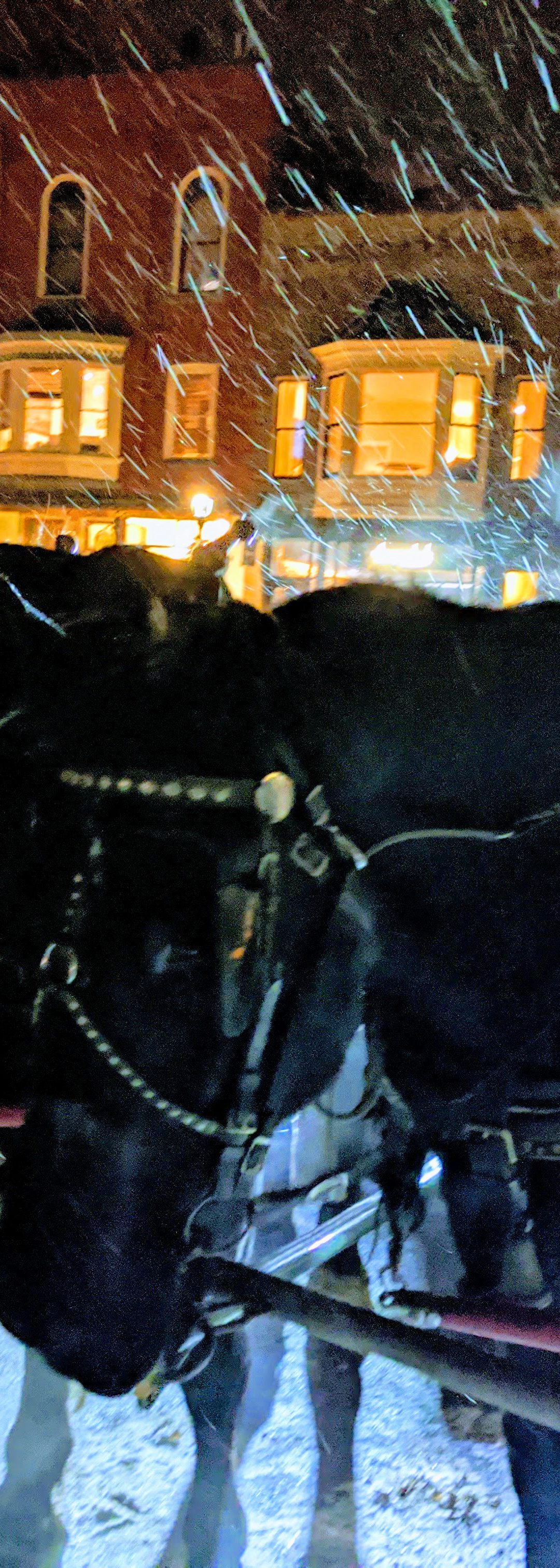 Hot Horses, Cold Night!