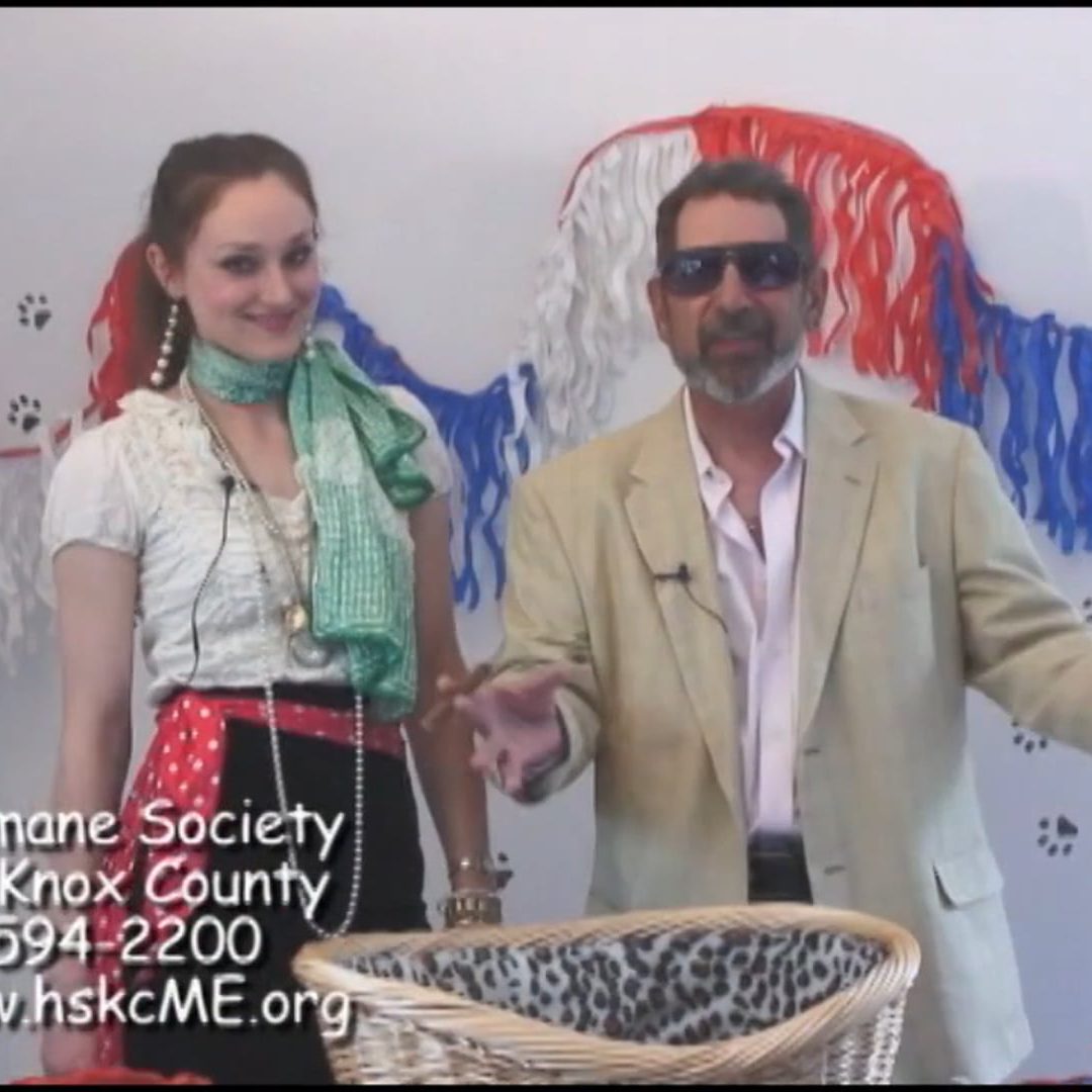 Reigning Cats and Dogs Show 568