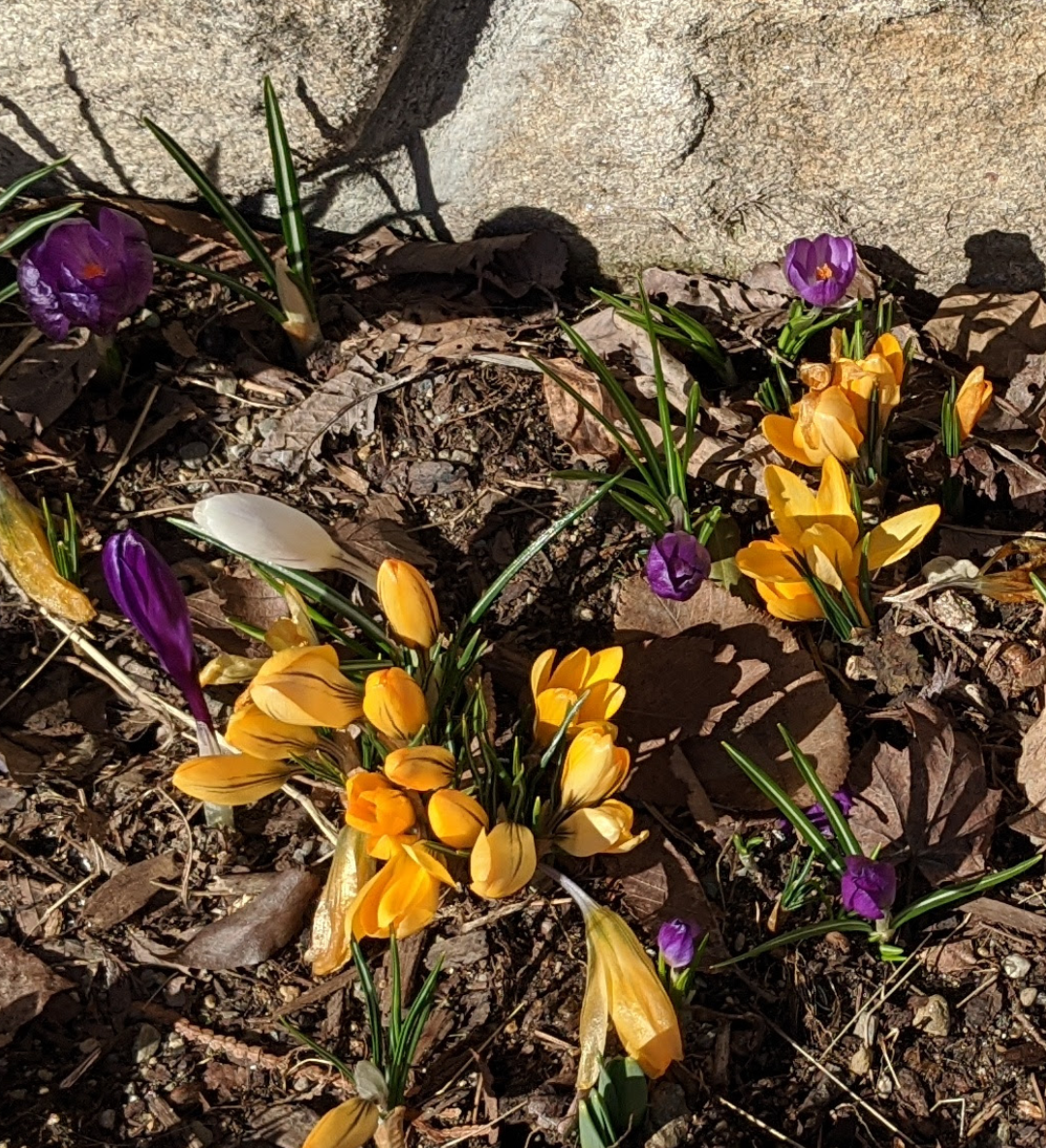 Spring Is Almost Here!