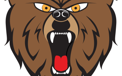 BREAKING NEWS. Maine Woman Stops 350 Pound Black Bear with .22 Pistol