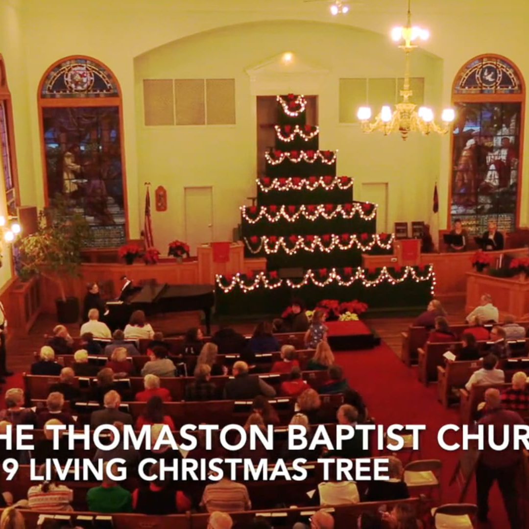 “Going Places” replay : The Living ChristmasTree –  Christmas 2019