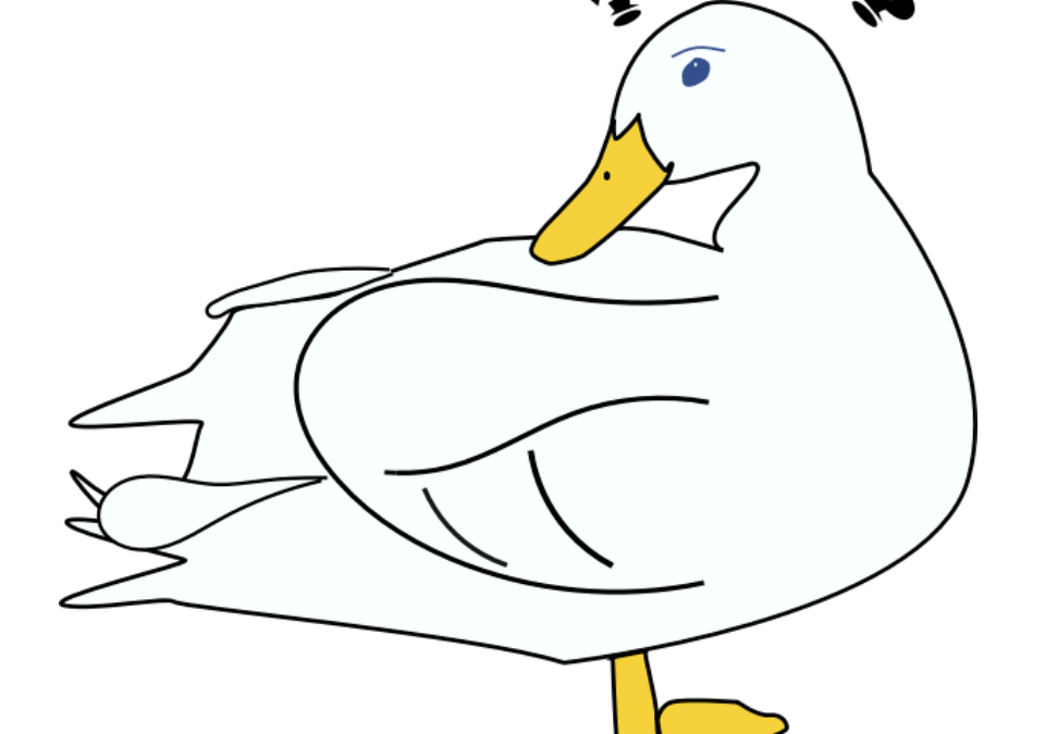 Why does a duck have tail feathers?