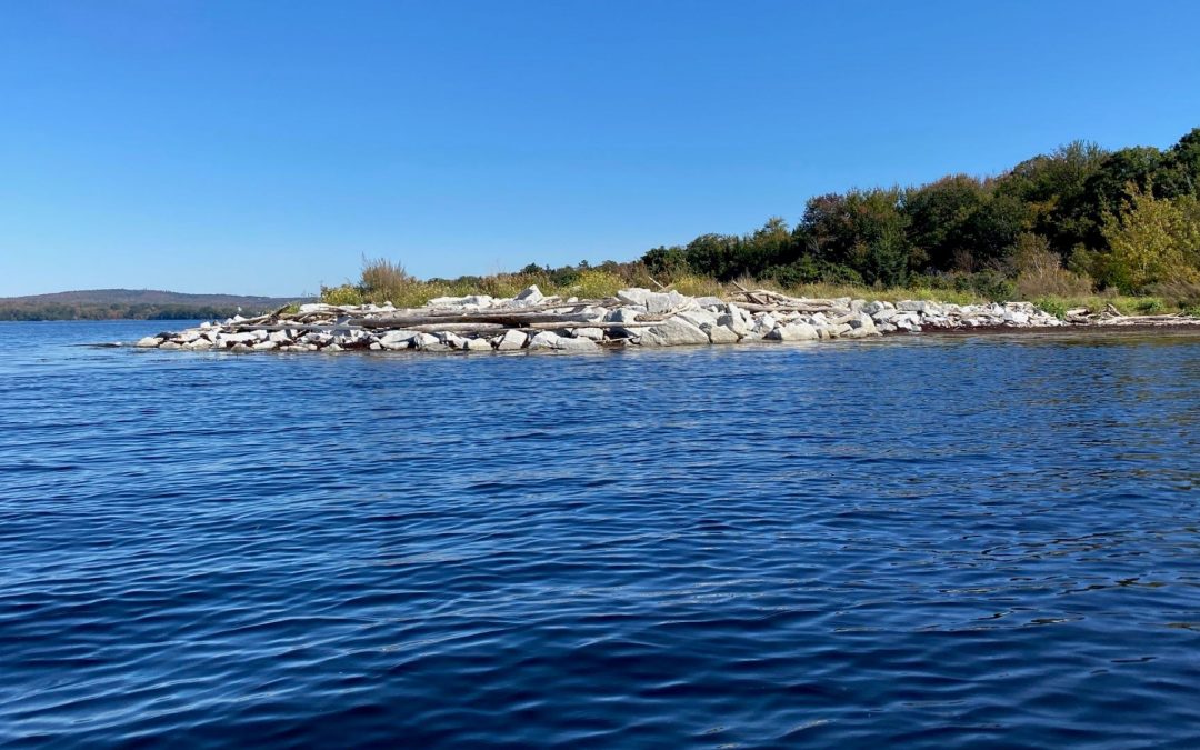Conservation group stunned by proposal for wind facility on Sears Island
