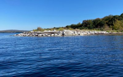 Conservation group stunned by proposal for wind facility on Sears Island