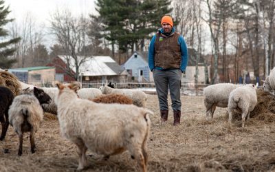 Maine’s prime farmland is being lost to solar. Is ‘dual use’ the answer?
