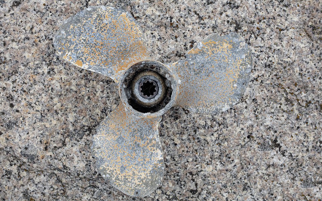 Dear Friends: Images From Maine #148 — Peter Ralston