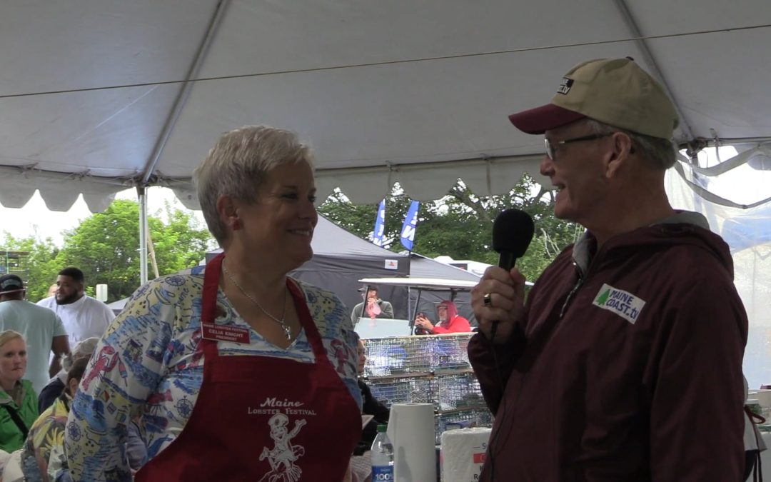 2023 Seafood Cooking Contest at the Maine Lobster Festival