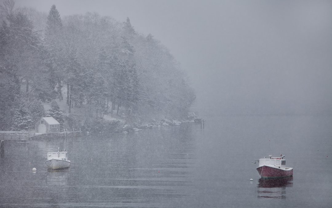 Images from Maine #174 || Peter Ralston