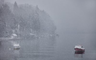 Images from Maine #174 || Peter Ralston