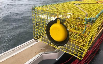 Gone are the days where you are blamed for polluting the ocean!