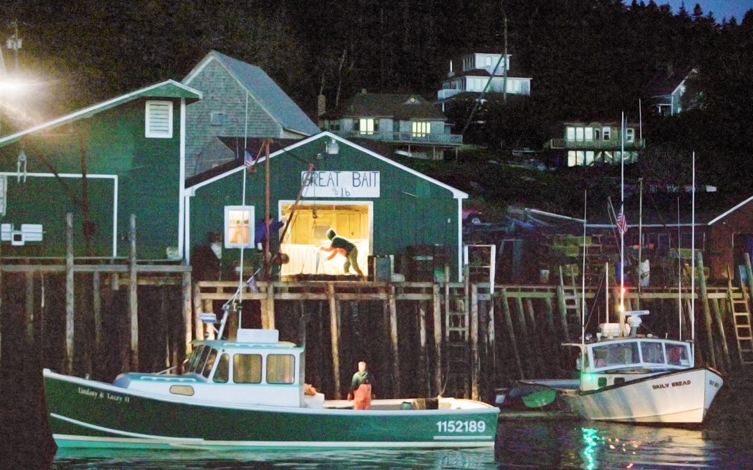 Images from Maine || Peter Ralston