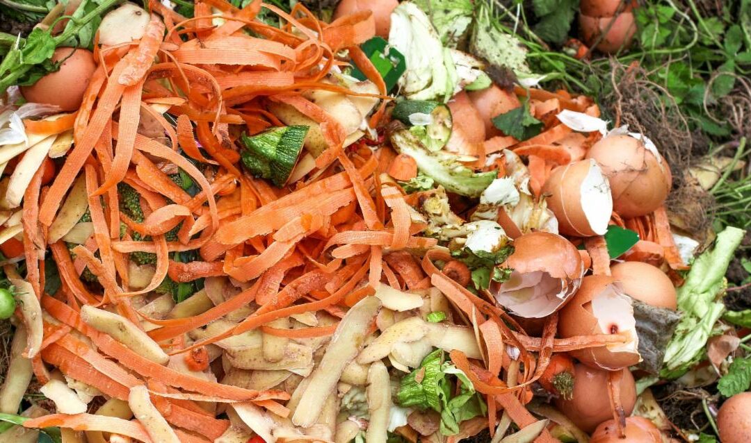 Maine households are worst offenders on food waste, according to DEP study